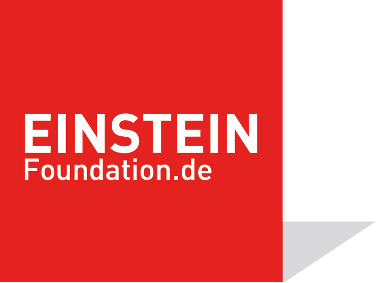 Logo Einstein Stiftung