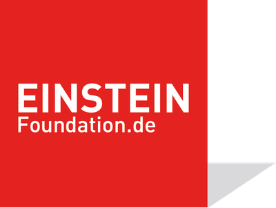 Logo der Einstein Foundation