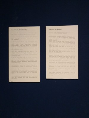 Abschlusspräsentation der Studierenden des Seminars "You Sexy Thing. Sexualität Sammeln und Ausstellen" (WS 2019/20)_15